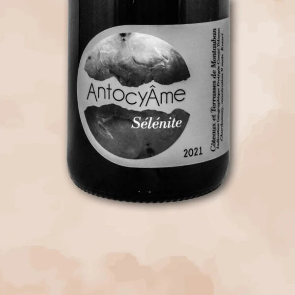 Selenite - vin orange - domaine antocyame