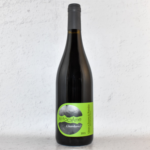vin nature sud ouest - domaine antocyame