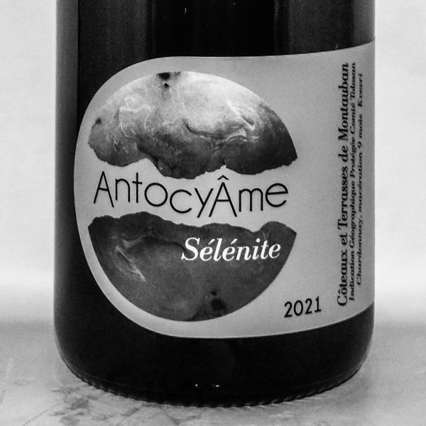 achat vin orange - domaine antocyame