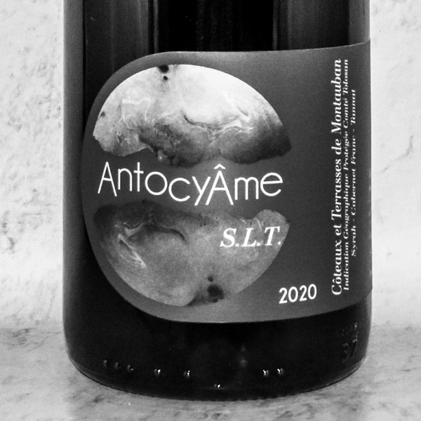 achat vin bio en ligne - domaine antocyame slt