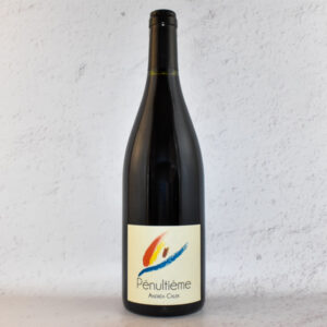 vins naturels vallée du rhone - andrea calek