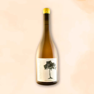 au bout du chenin - vin nature - domaine de cambalu julien moreau