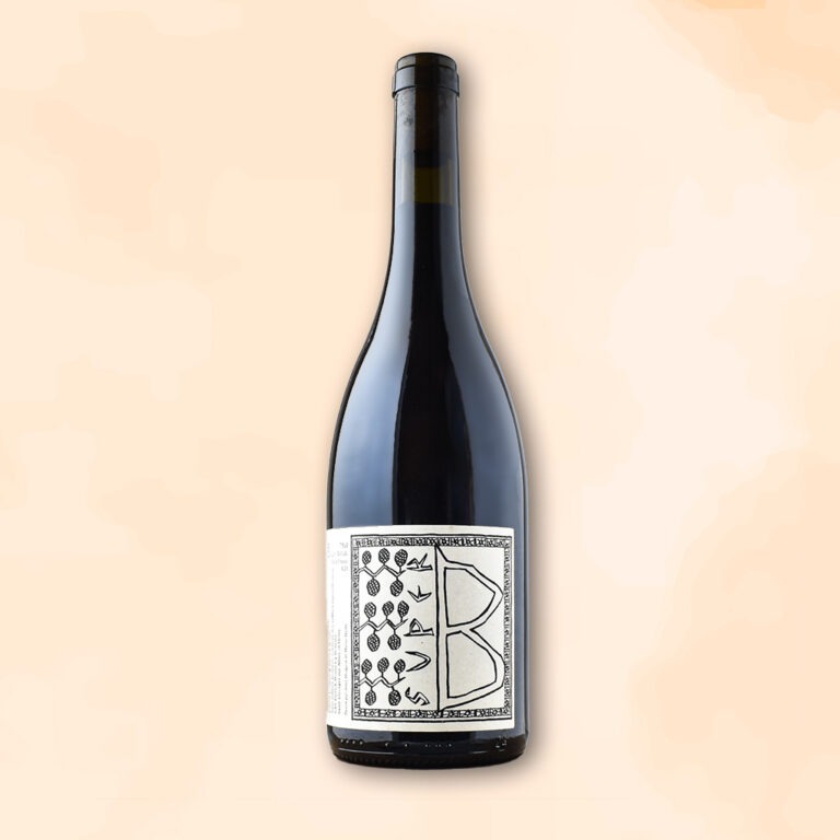 super-b-vin-naturel-patrick-bouju-la-boheme-des-racines-au-verre