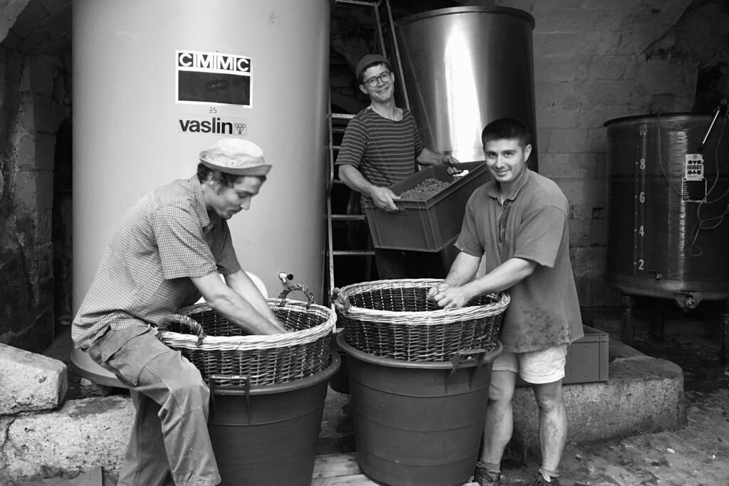 bastien rocour la trochoire - vin nature loire