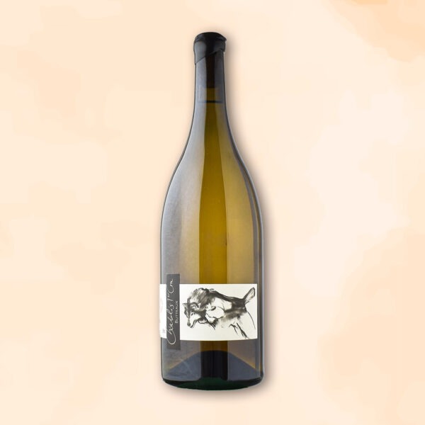 magnum chablis 1er cru butteaux - vin nature - thomas pico pattes loup