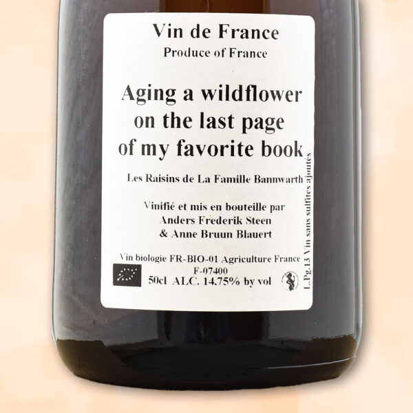 aging a wildflower on the last page of my favorite book - vin nature - anders frederik steen