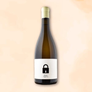 blanc fugitiu - vin nature d espagne - bodega clandestina