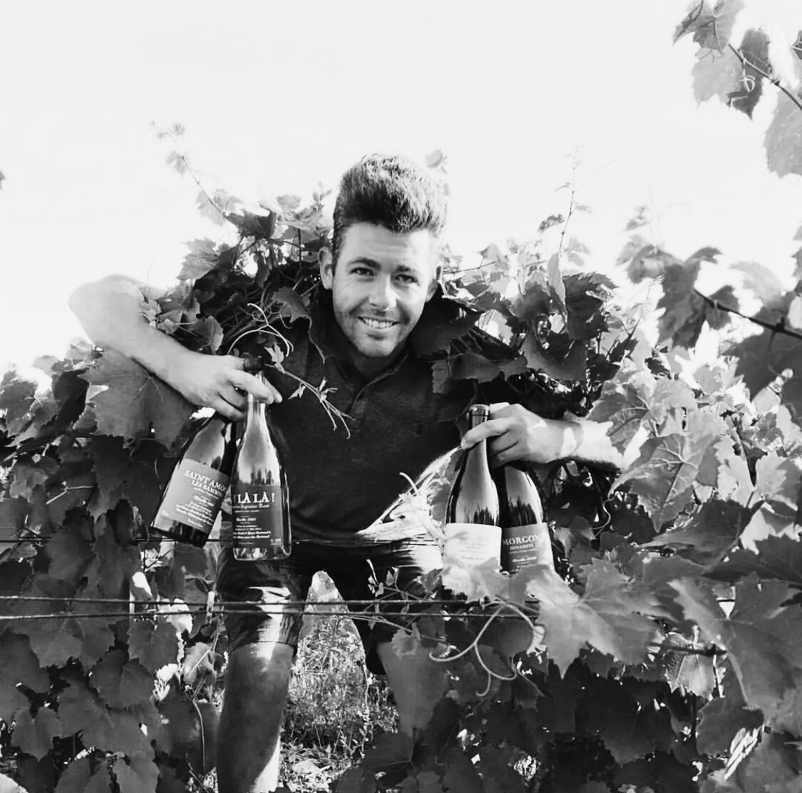 yann-bertrand-vin-nature-beaujolais-des-racines-au-verre