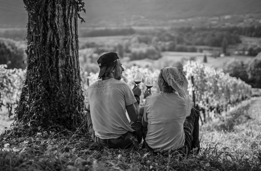 florian-marie-domaine-curtet-vin-naturel-des-racines-au-verre