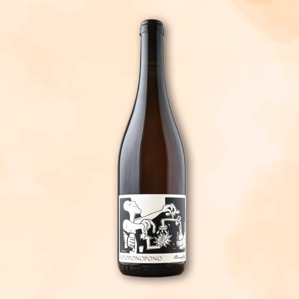 ho-oponopono-vin-naturel-domaine-alezan-bonneton-des-racines-au-verre