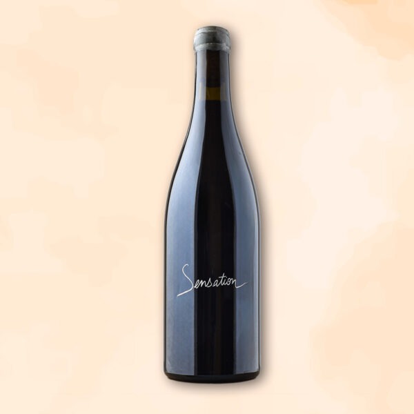 sensation-vin-naturel-justine-vigne-des-racines-au-verre