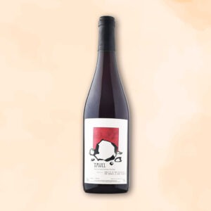 tavel-vin-nature-romain-le-bars-des-racines-au-verre