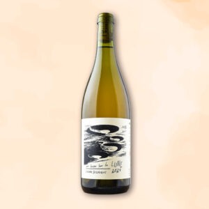 un-hiver-sur-la-lune-vin-nature-etienne-seignovert-des-racines-au-verre
