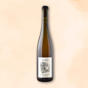 6-pieds-sur-terre-vin-nature-domaine-geschickt-des-racines-au-verre