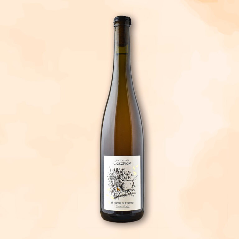 6-pieds-sur-terre-vin-nature-domaine-geschickt-des-racines-au-verre