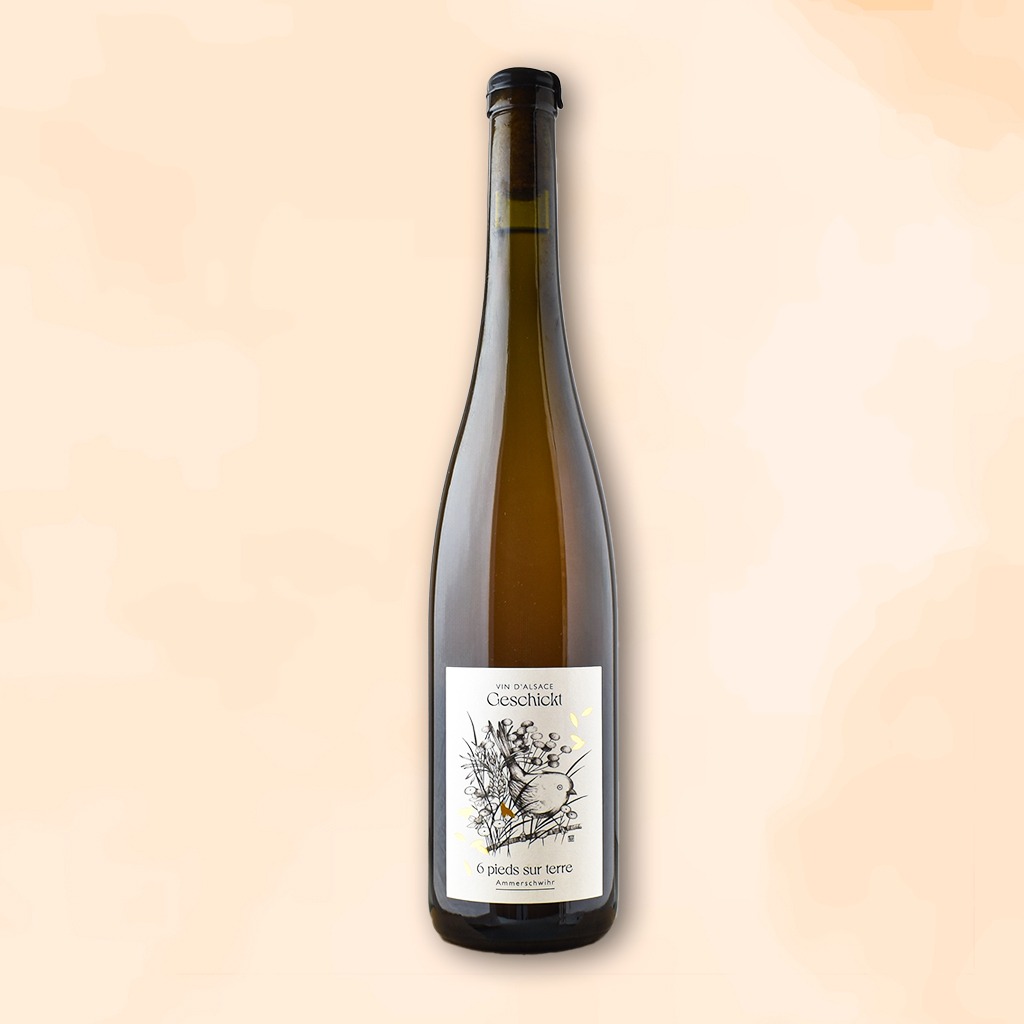 6-pieds-sur-terre-vin-nature-domaine-geschickt-des-racines-au-verre