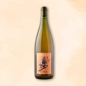 le-schlouk-vin-nature-domaine-geschickt-des-racines-au-verre