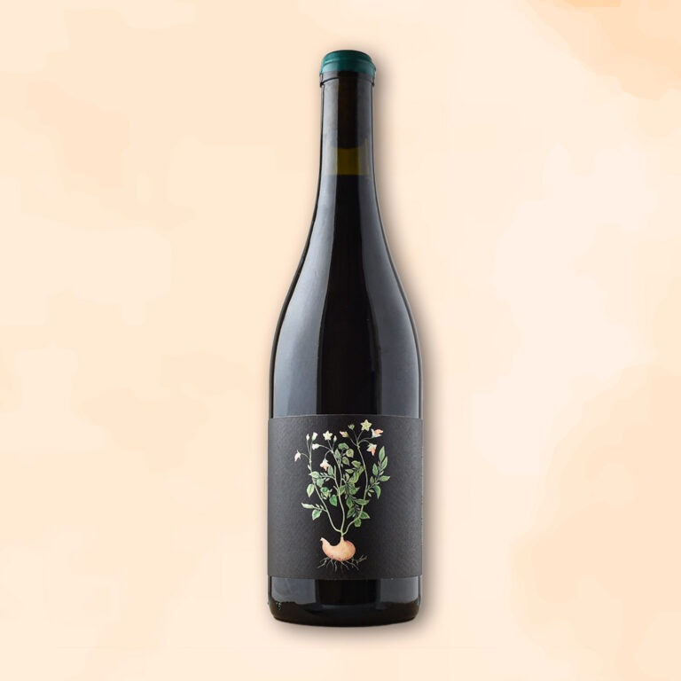 trotocaz-vin-nature-le-vin-des-potes-ledogar-des-racines-au-verre