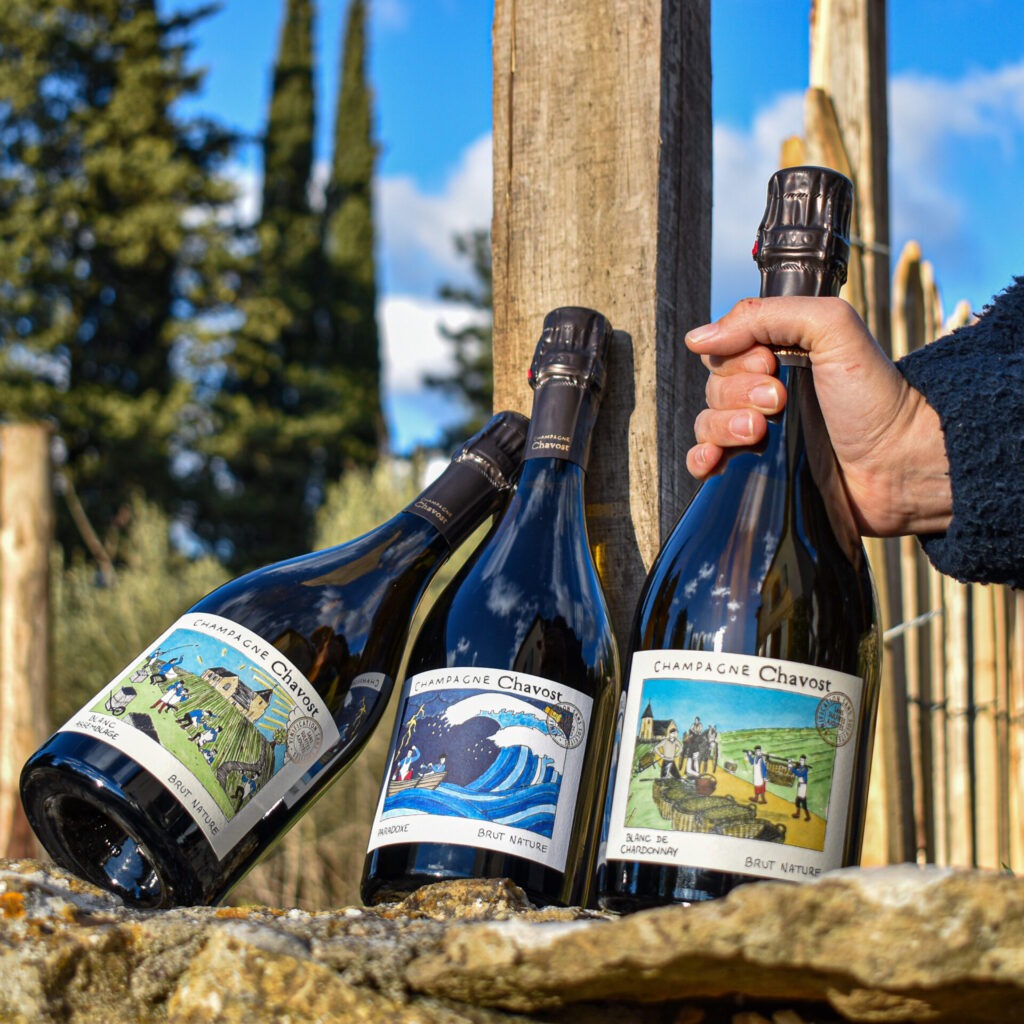 champagne-chavost-vin-nature-de-champagne-des-racines-au-verre