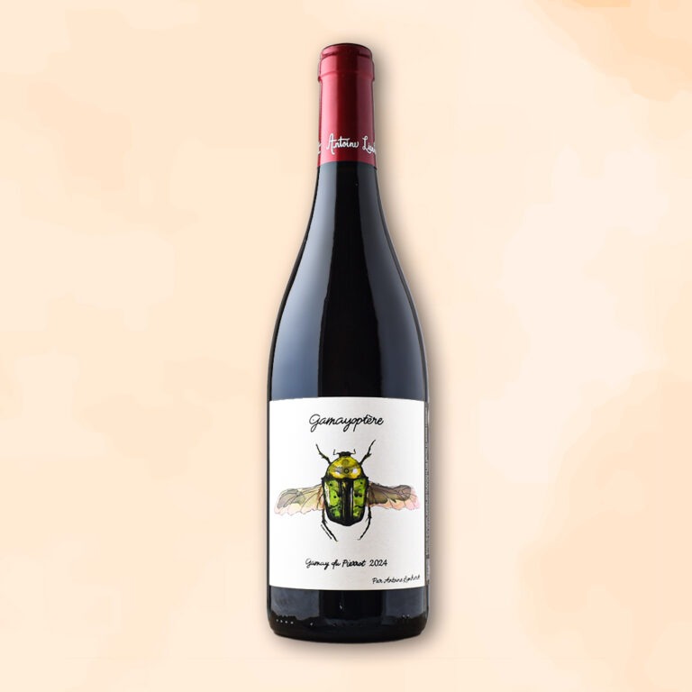 gamayoptere-vin-nature-antoine-lienhardt-des-racines-au-verre