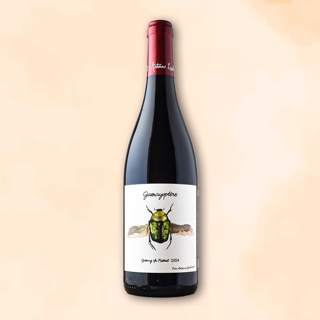 gamayoptere-vin-nature-antoine-lienhardt-des-racines-au-verre
