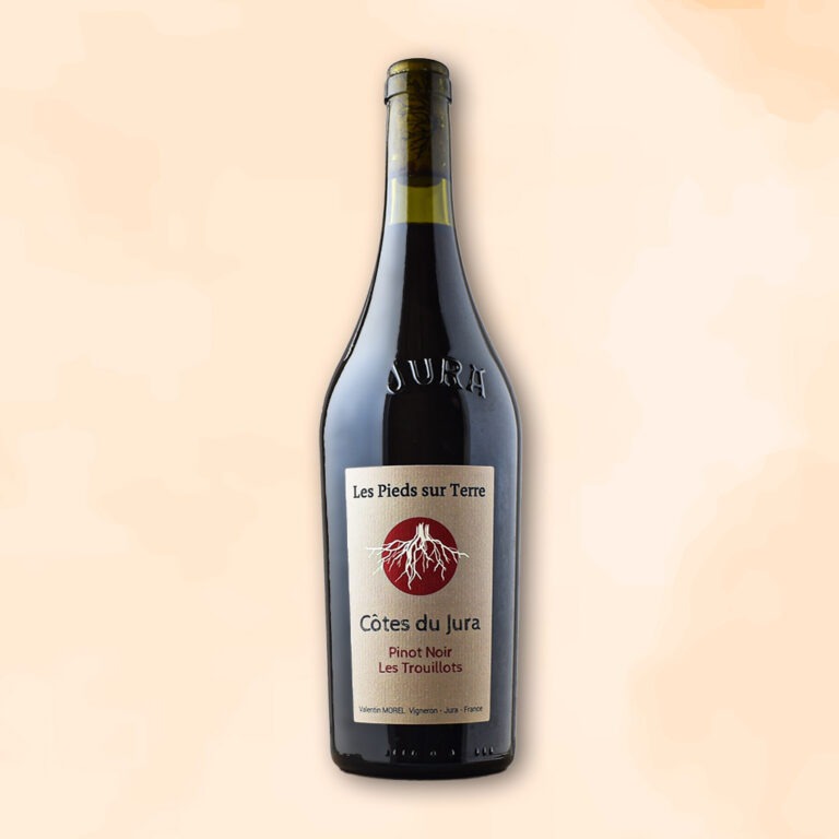 pinot-noir-les-trouillots-vin-nature-valentin-morel-les-pieds-sur-terre-des-racines-au-verre