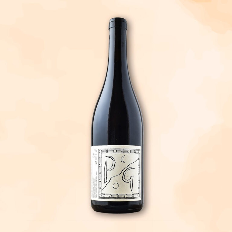 pg-vin-naturel-patrick-bouju-la-boheme-des-racines-au-verre