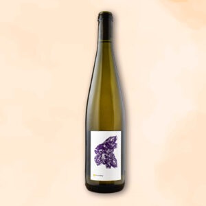 lieu-dit-frauenberg-vin-naturel-julien-albertus-des-racines-au-verre