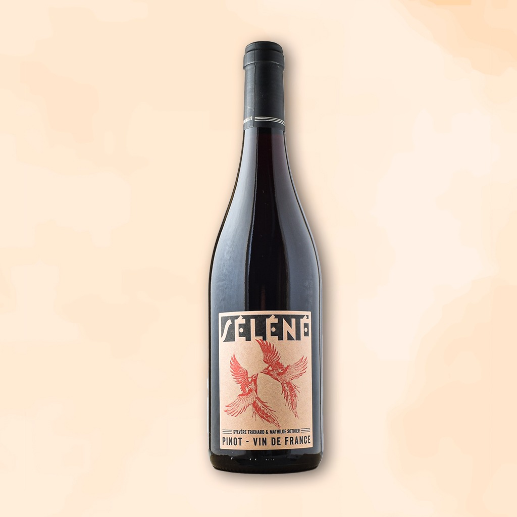 pinot-vin-naturel-selene-des-racines-au-verre