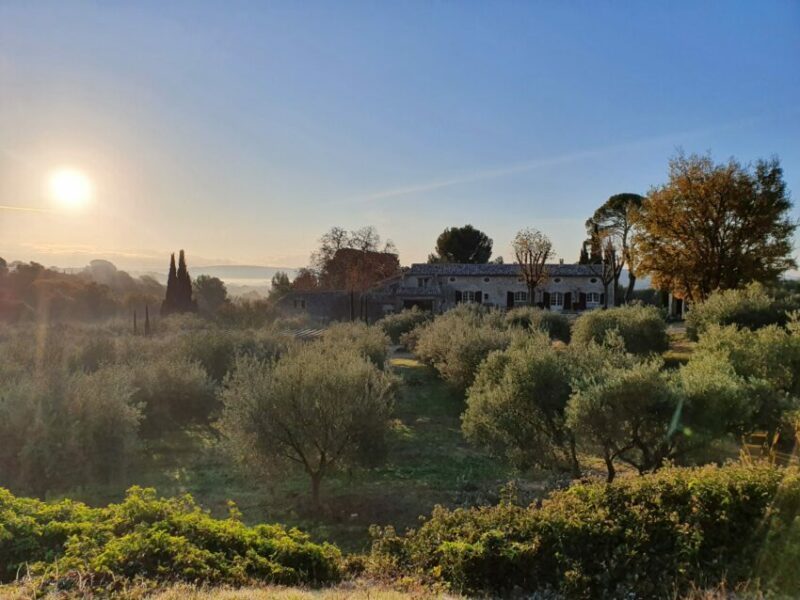 domaine-de-la-cavaliere