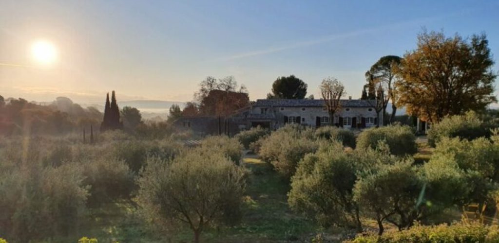 domaine de la cavaliere – luberon vin nature provence
