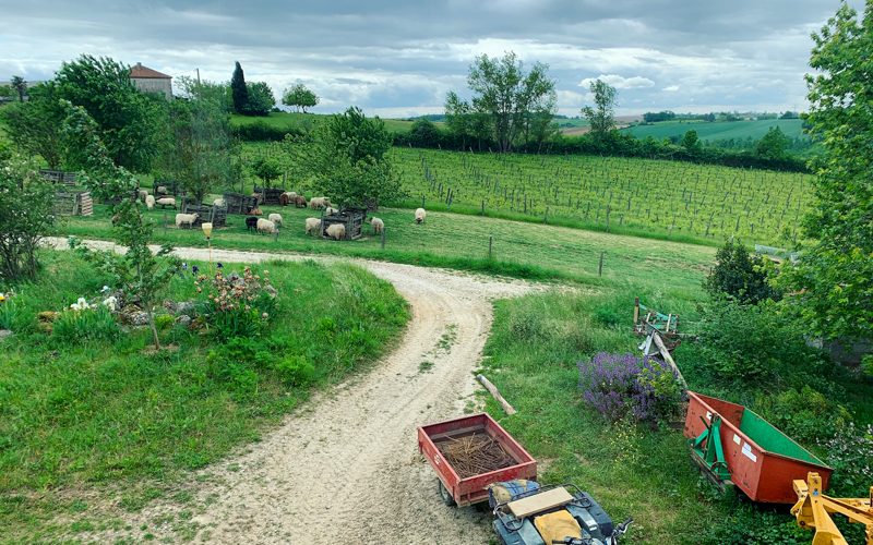 vin nature sud ouest