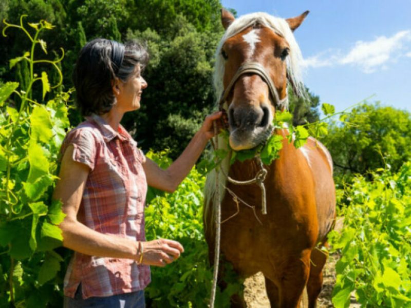 hélène thibon mas de libian biodynamie