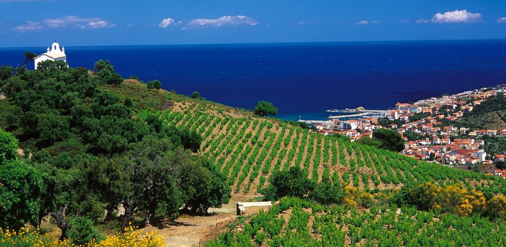 vin nature roussillon vin nature roussillon